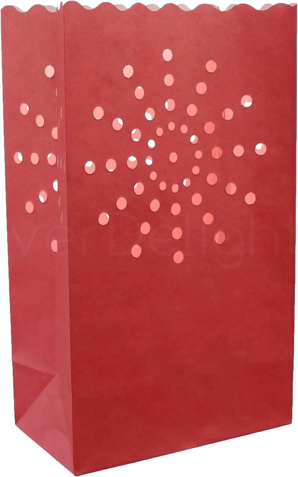 50 Count Luminary Bags B773047