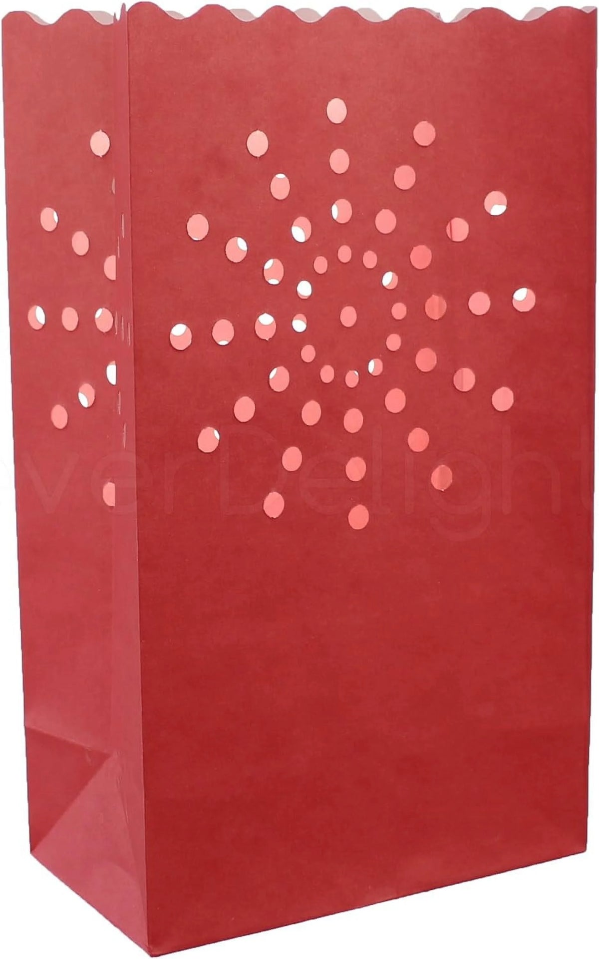 50 Count Luminary Bags B773047