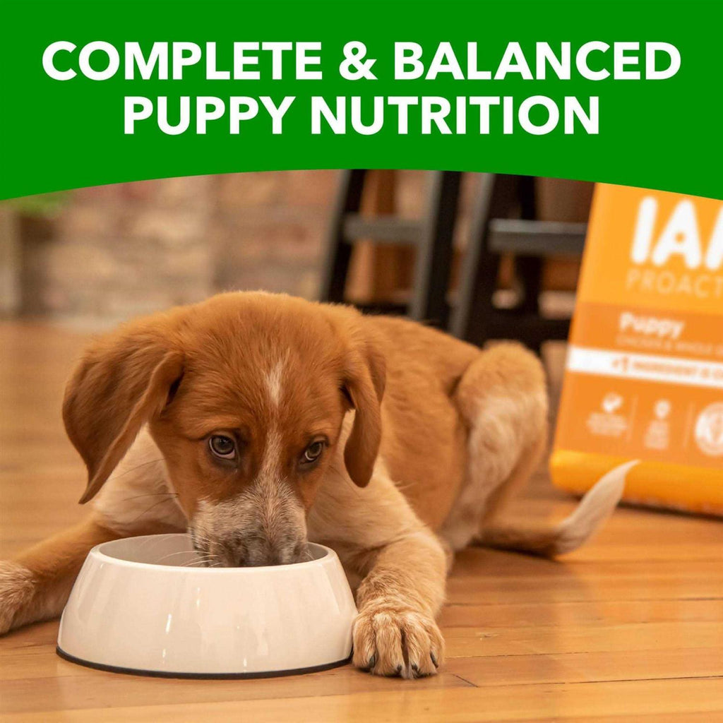 Smart Puppy Dry Dog Food L3862