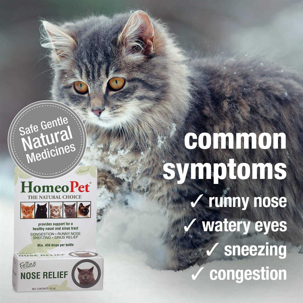 Feline Nose Relief R522293