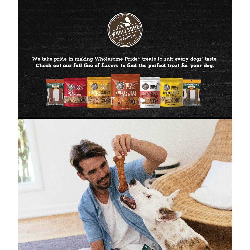 Natural & Healthy Dog J611