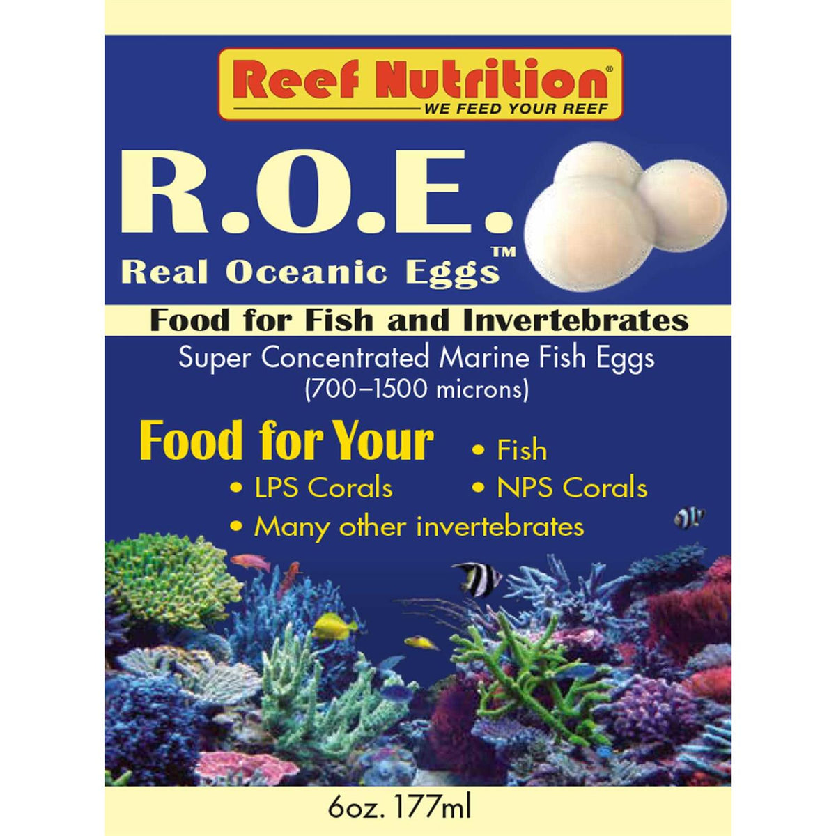 Real Oceanic Eggs O1432