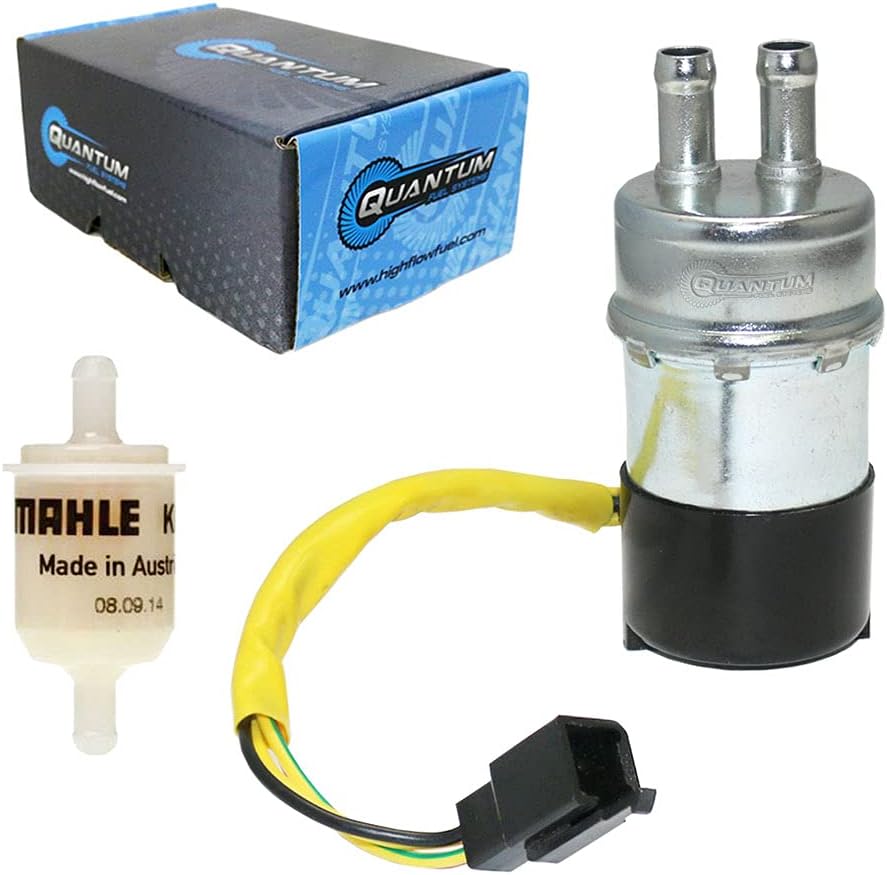 Fuel Pump and Fuel Filter Replacement, Pack of 2 Z502