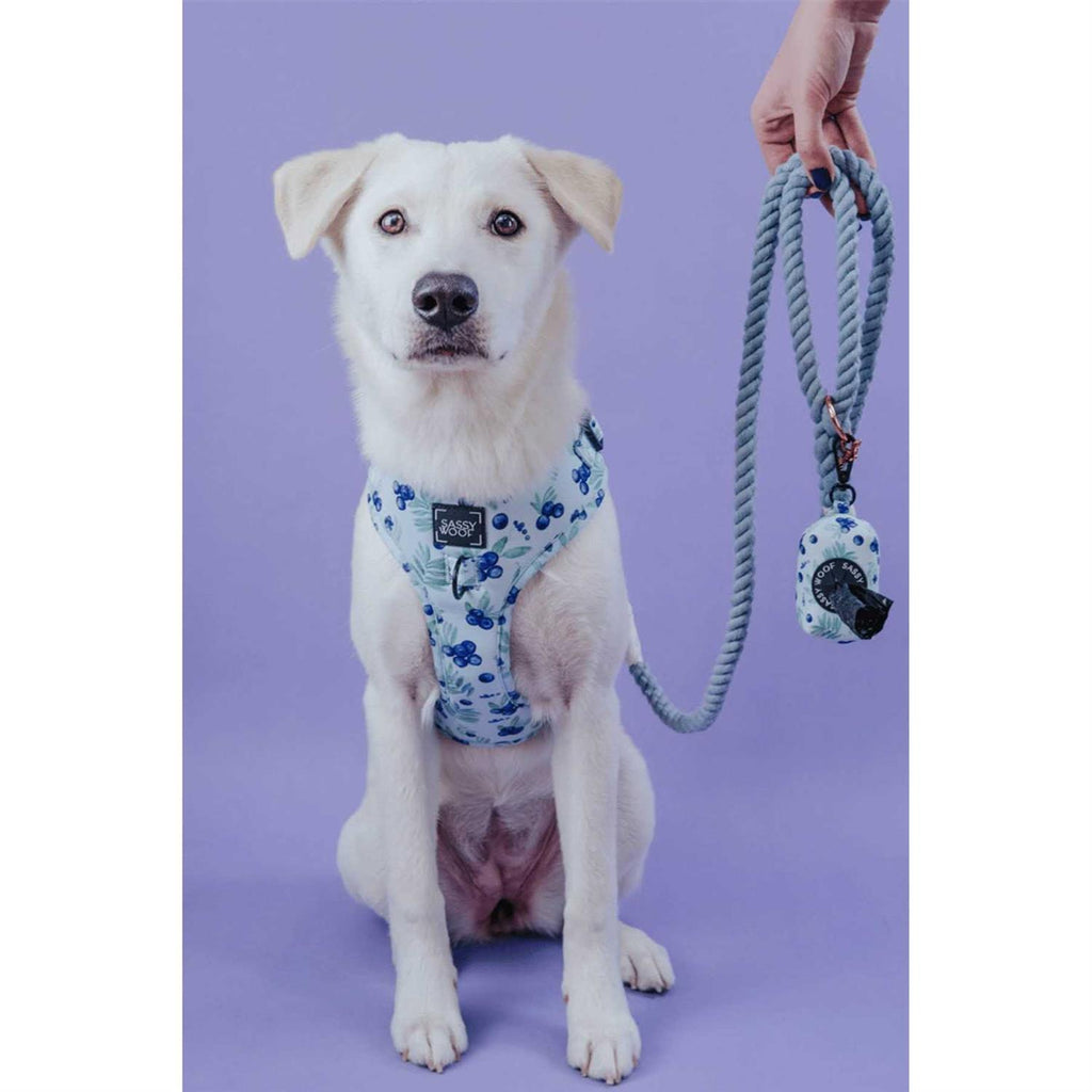 Dog Rope Leash A95963
