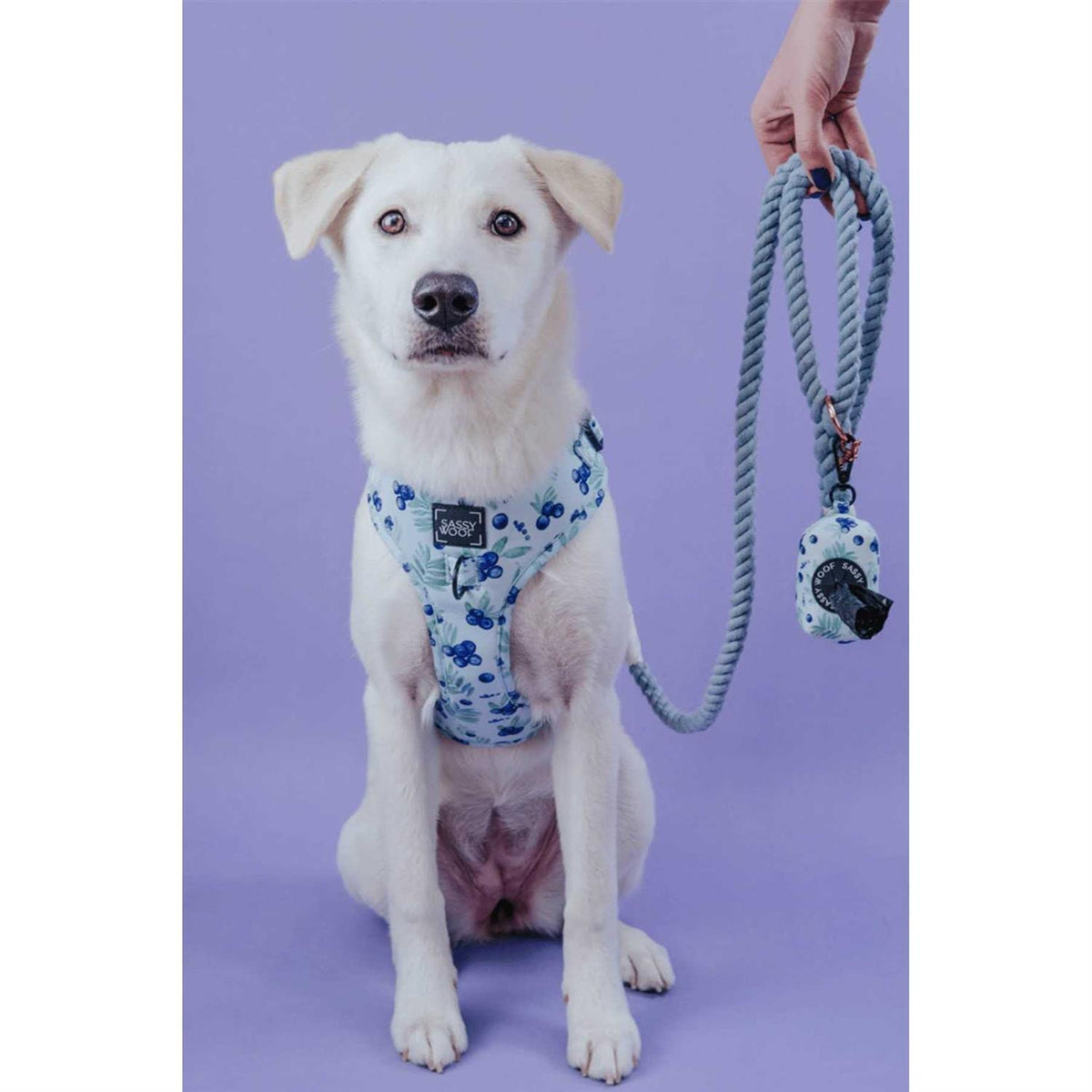 Dog Rope Leash A95963
