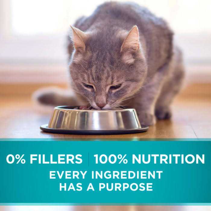 Indoor Advantage Natural Cat Food Ocean Whitefish & Rice U980