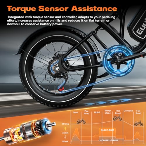 2000W Electric Bike with 48V Battery 20"x4.0" Fat Tires A1055