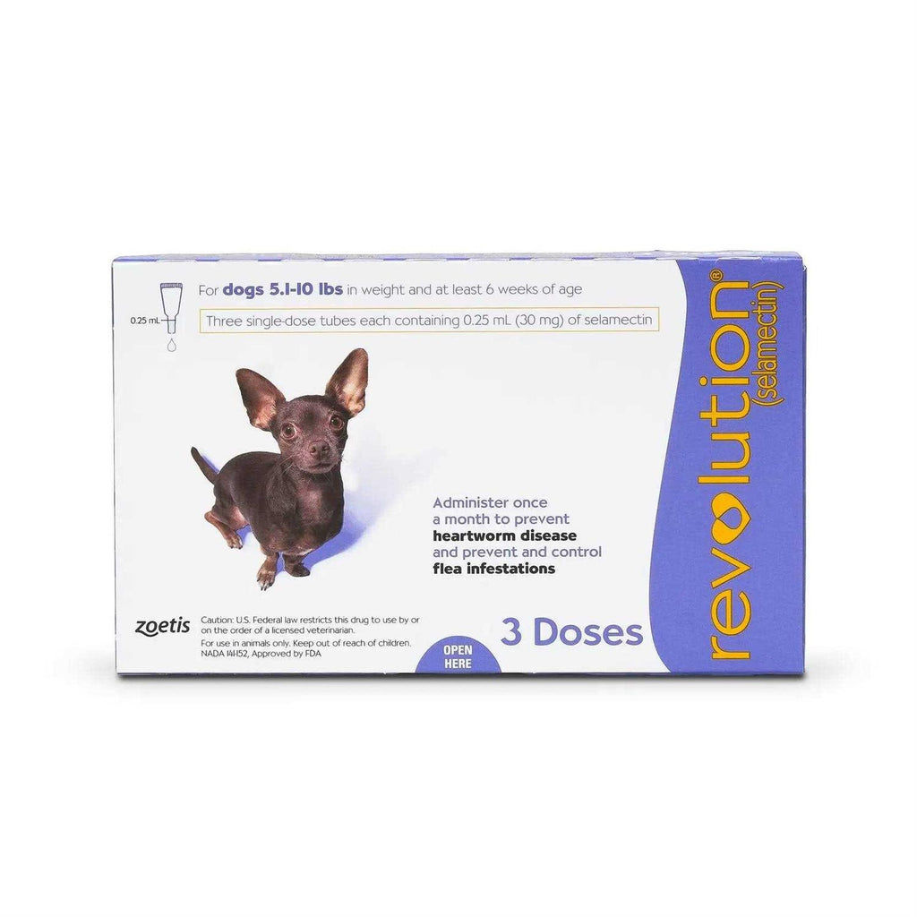 Revolution for Puppies & Kittens T43671