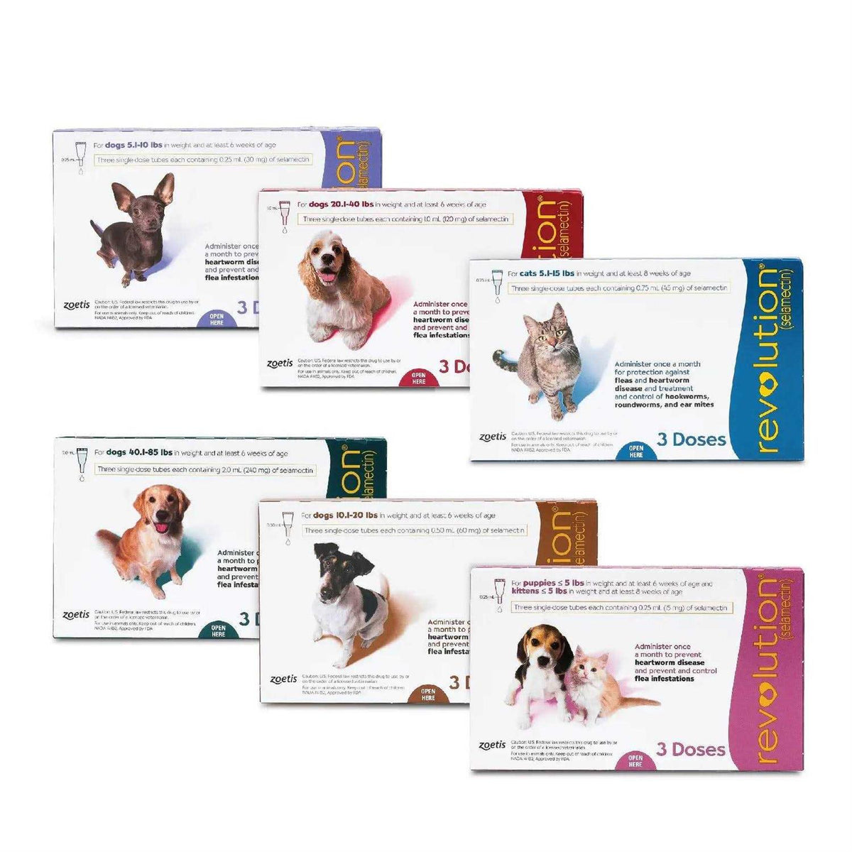 Revolution for Puppies & Kittens T43671