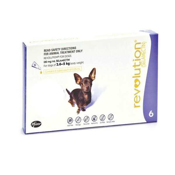 Revolution for Puppies & Kittens T43671