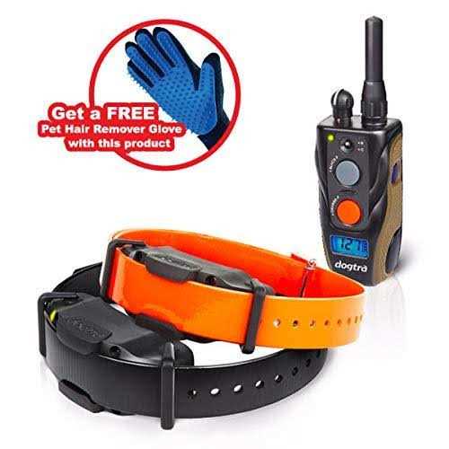 2 Dog Remote Training Collar R66596