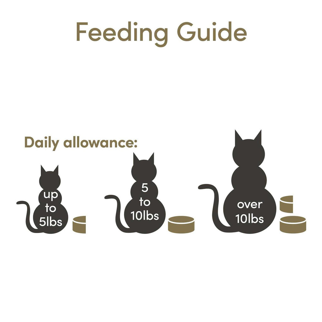 Fish Selection in Broth Wet Cat Food V821707