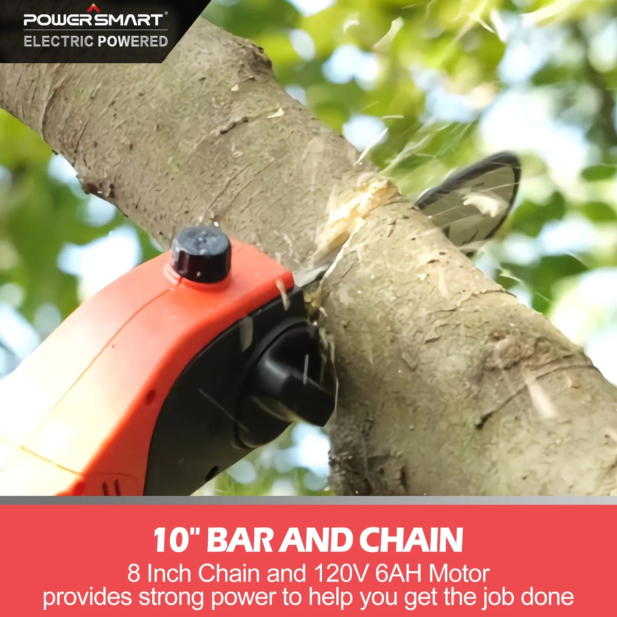 Corded Electric Pole Saw with Oiling System H784470