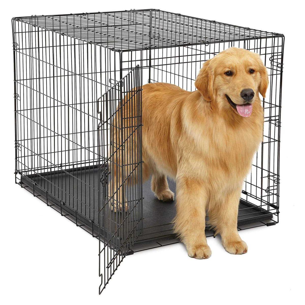 Single-Door Dog Crate Q479997