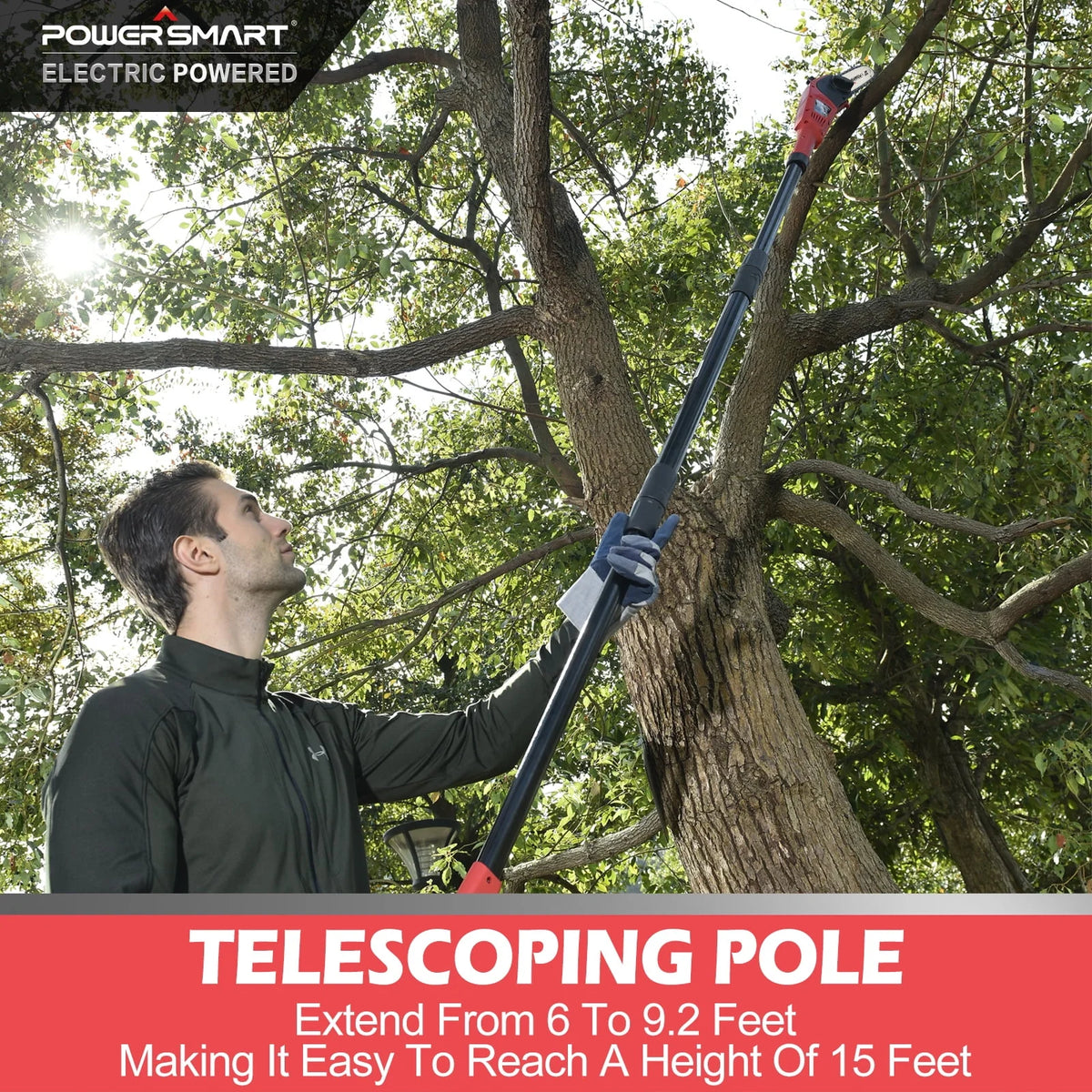 Corded Electric Pole Saw with Oiling System H784470