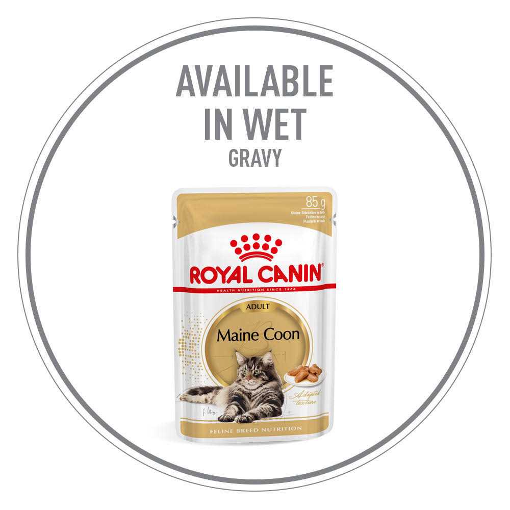 Maine Coon Dry Cat Food B5706