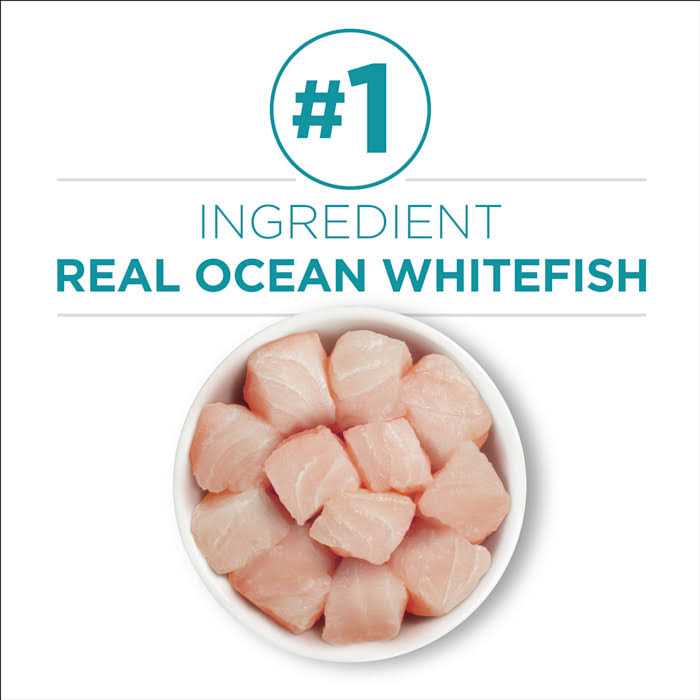 Indoor Advantage Natural Cat Food Ocean Whitefish & Rice U980