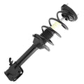 Rear Right Complete Strut Assembly W284143