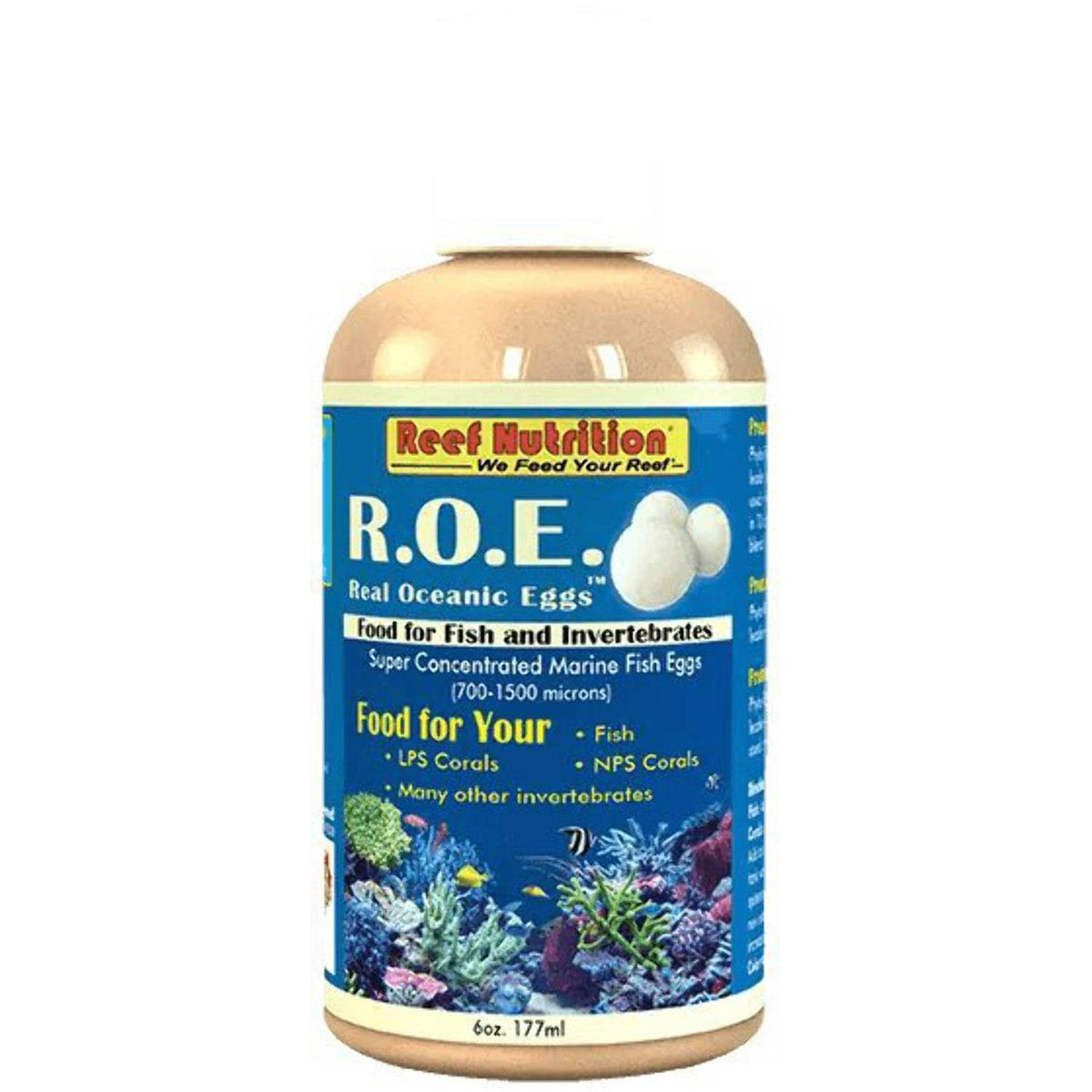 Real Oceanic Eggs O1432