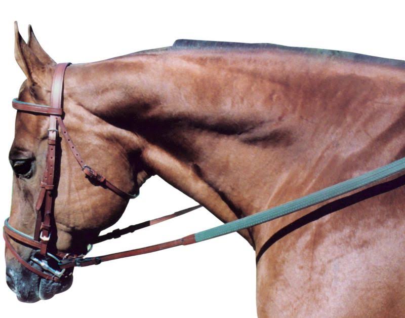 Leather Padded Flat Bridle COB Oakbark/Grn A49124