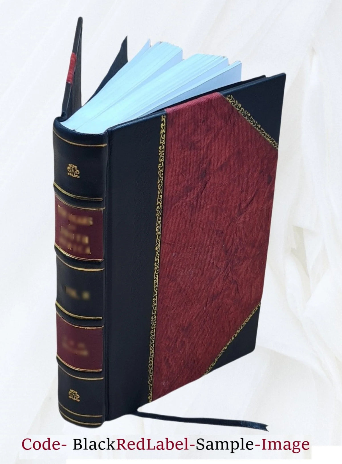 1911 Leather Bound Fashion Gravures P757