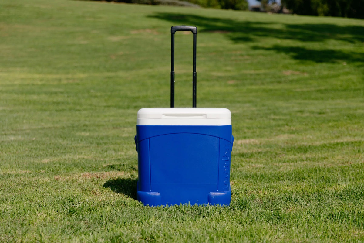 60-Quart Roller Cooler V124103