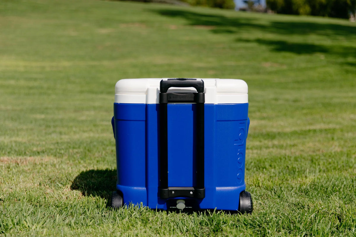 60-Quart Roller Cooler V124103