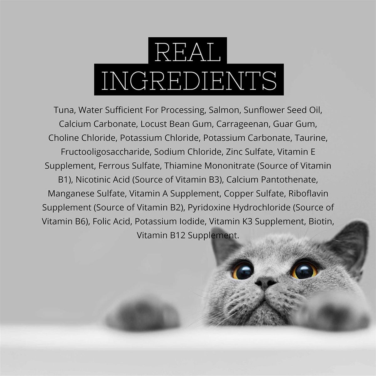 Tuna Cat Food G703921