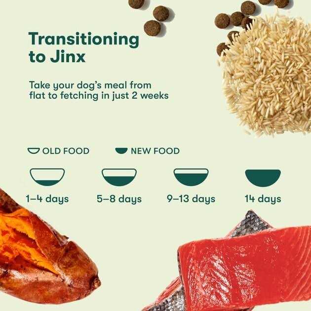 Salmon Brown Rice & Sweet Potato Dry Dog Food U62602