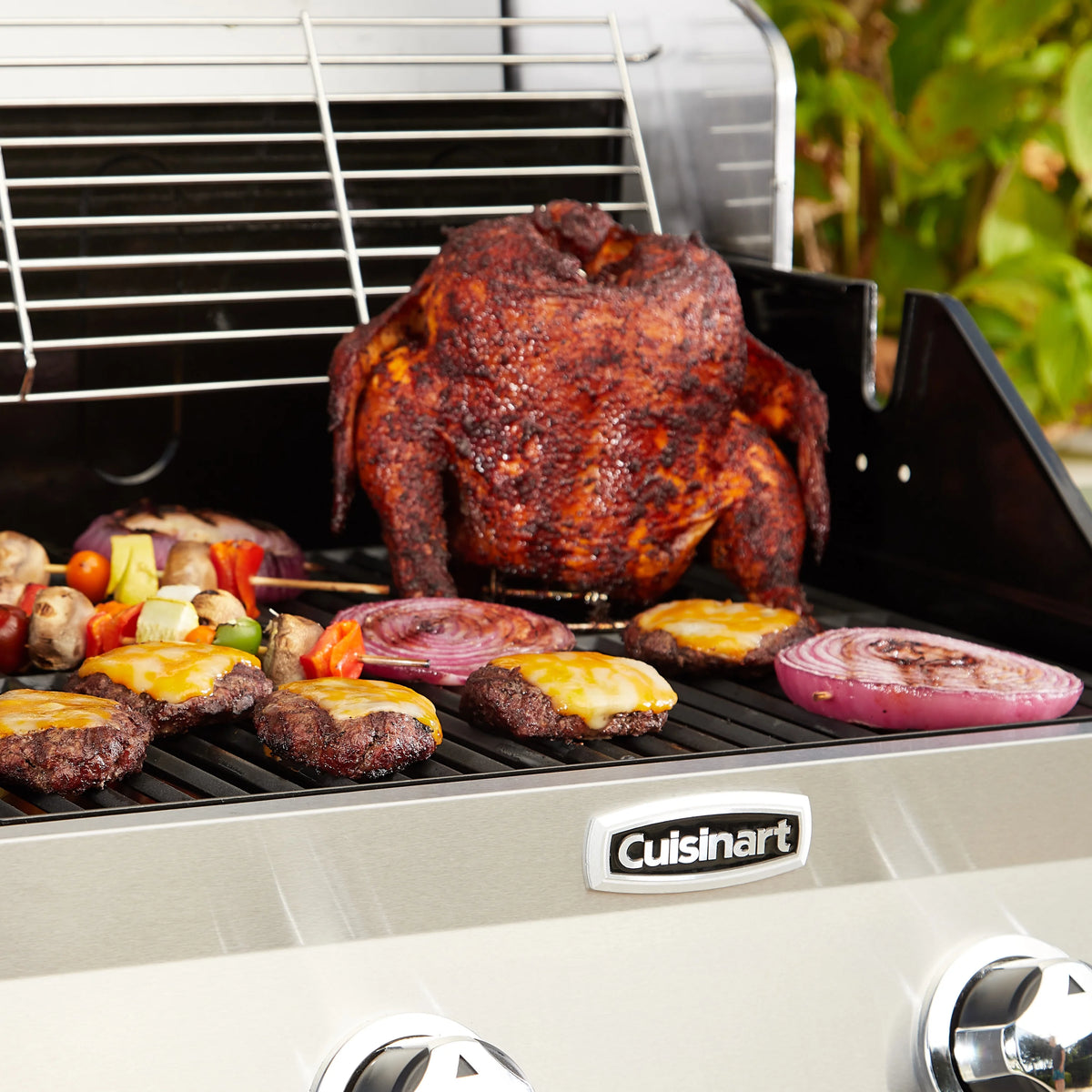 2-Burner Dual Fuel Gas Grill L536