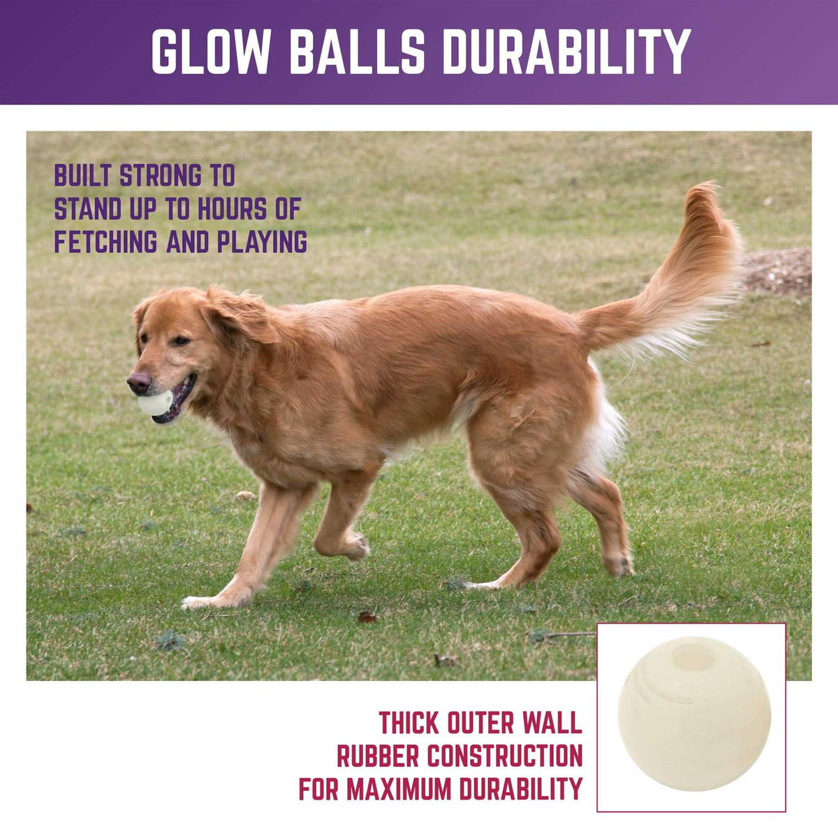 Glow Ball Dog Toys X407400
