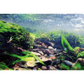 Reversible Aquarium Background A24574