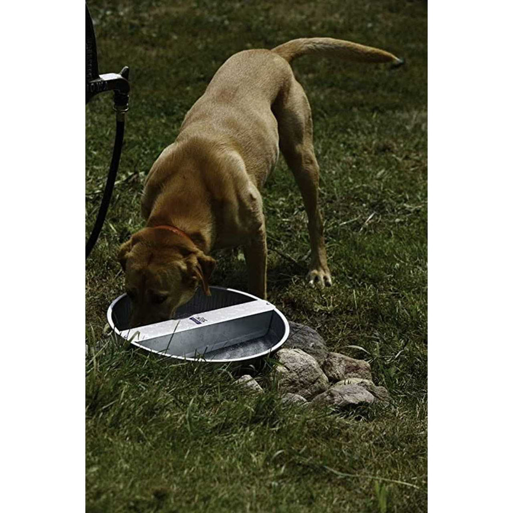Galvanized Pet Bowl L572755