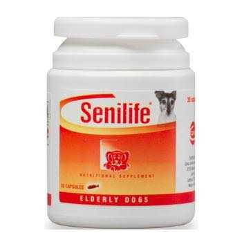 Nutritional Supplement for Elderly Dogs Q515883