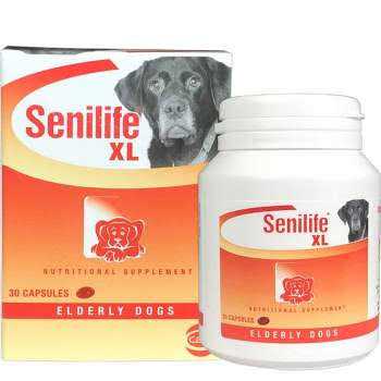 Nutritional Supplement for Elderly Dogs Q515883