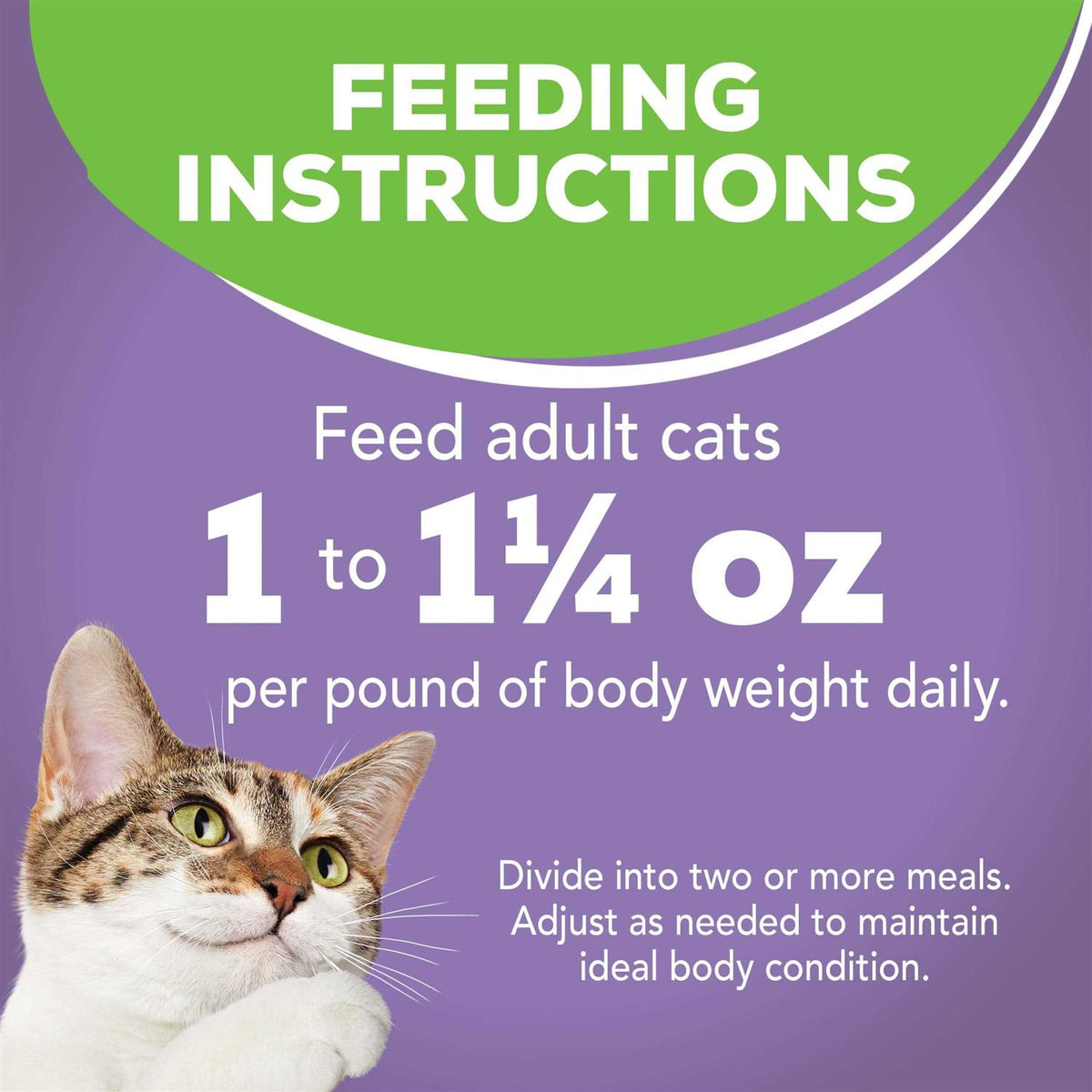 Turkey Dinner Wet Cat Food I5709