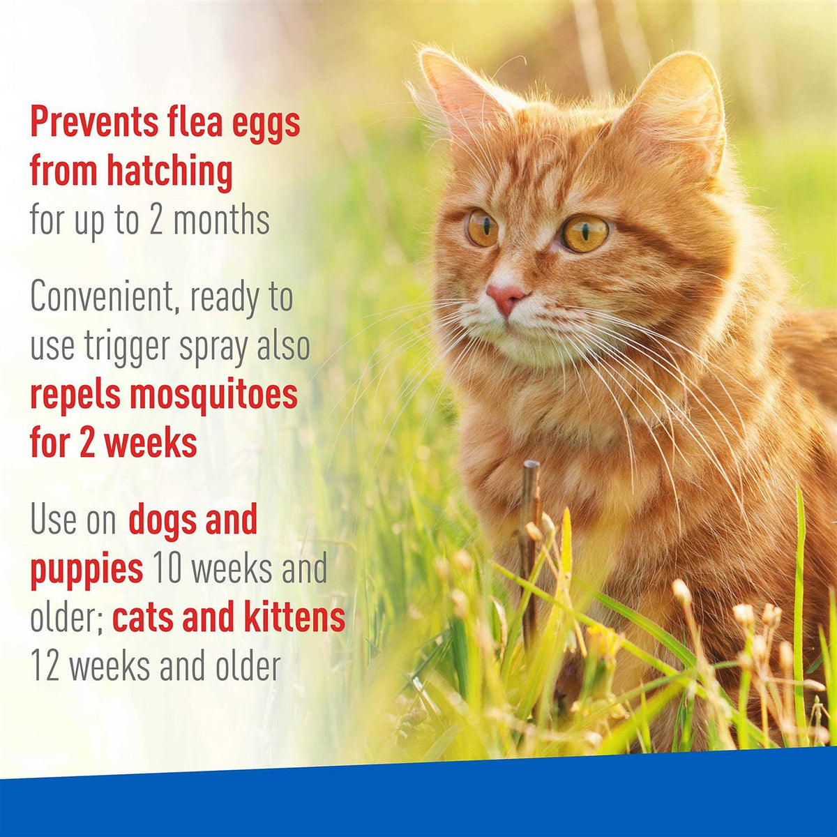 Flea Tick Spray A752207