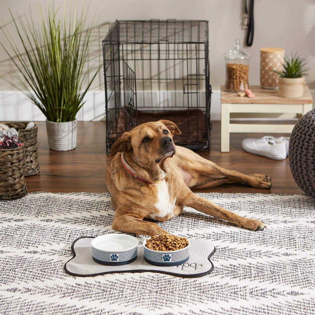 Bone Dry Paw Patch Pet Bowl F588