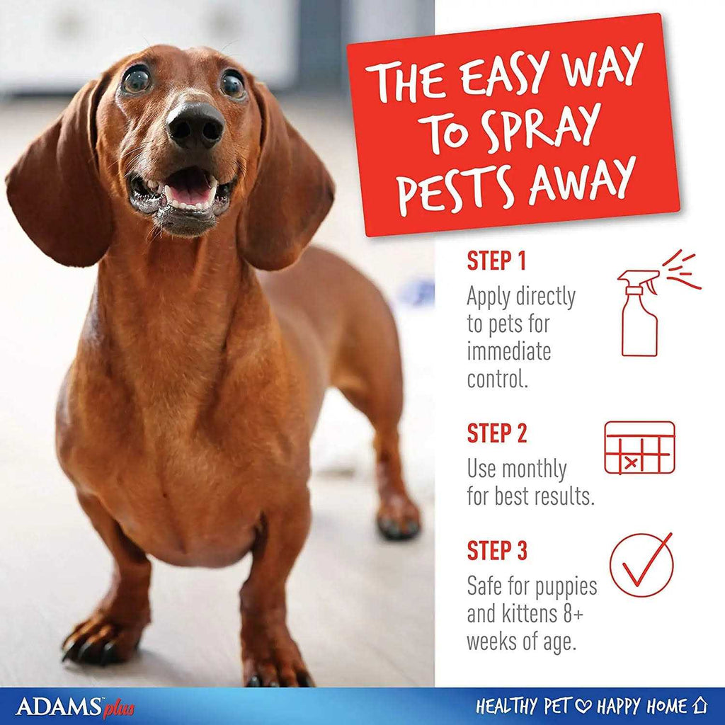 Flea Tick Spray A752207